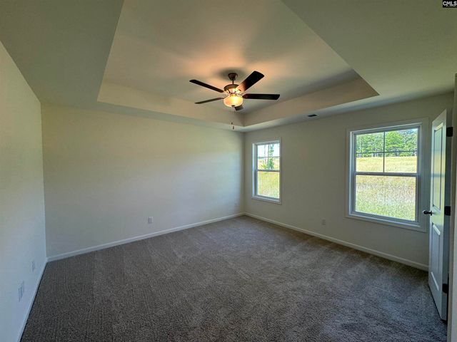 530 Griffon Drive, Chapin, SC 29036
