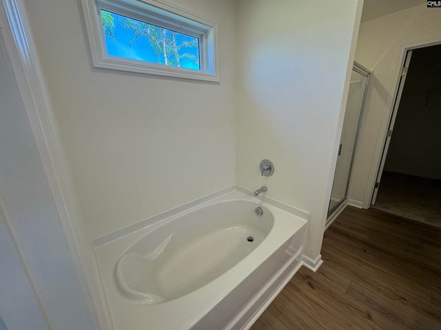 530 Griffon Drive, Chapin, SC 29036