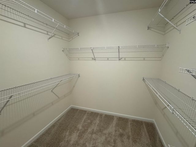 530 Griffon Drive, Chapin, SC 29036
