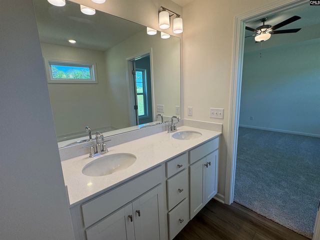 530 Griffon Drive, Chapin, SC 29036