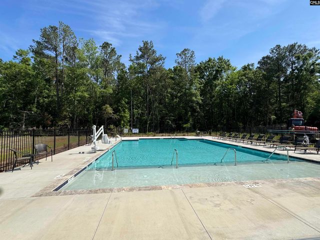530 Griffon Drive, Chapin, SC 29036
