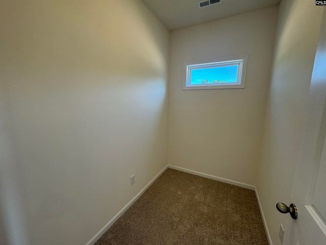 530 Griffon Drive, Chapin, SC 29036