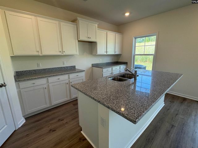 530 Griffon Drive, Chapin, SC 29036