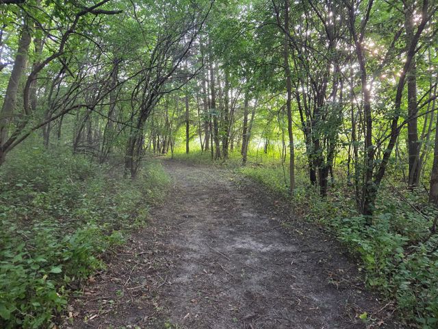 401 Rolling Hills Drive, Mound, MN 55364