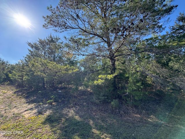 Lot 12 Colmart Drive 19, Chipley, FL 32428