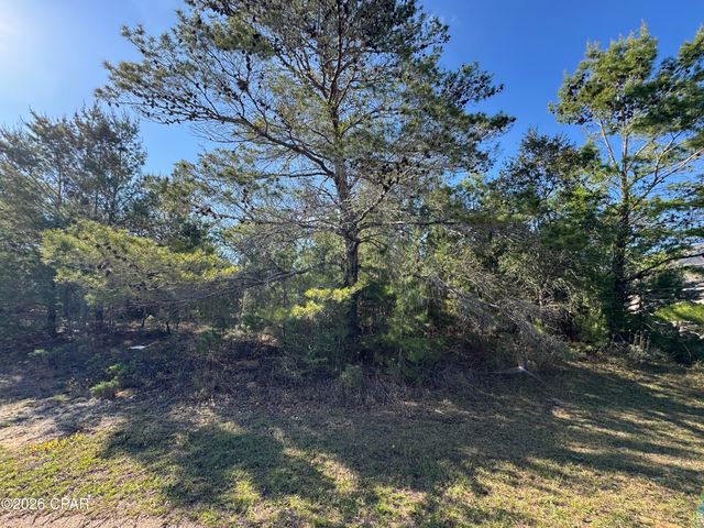 Lot 12 Colmart Drive 19, Chipley, FL 32428