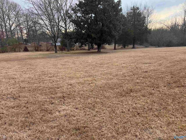 515 County Road 296, Hillsboro, AL 35643