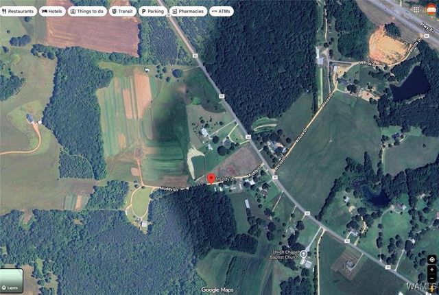 291 Muddy, Reform, AL 35461