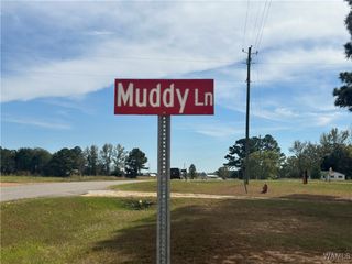 291 Muddy, Reform, AL 35461