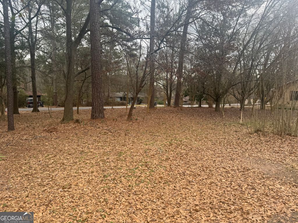 0 SPRING Street, Stockbridge, GA 30281