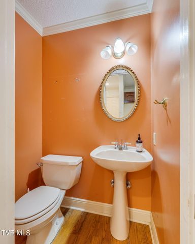 704 Ridgefields Road, Kingsport, TN 37660