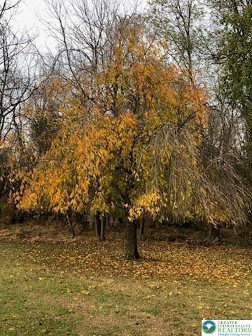 4905 Cedar Grove, Bangor Boro, PA 18013