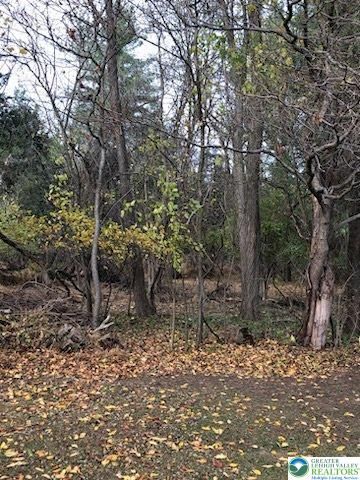 4905 Cedar Grove, Bangor Boro, PA 18013