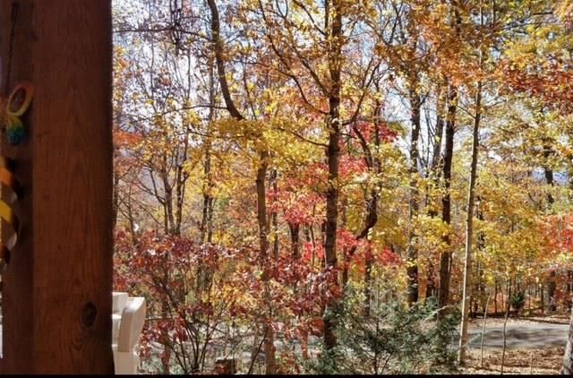 2532 Hunter Road, Hiawassee, GA 30546