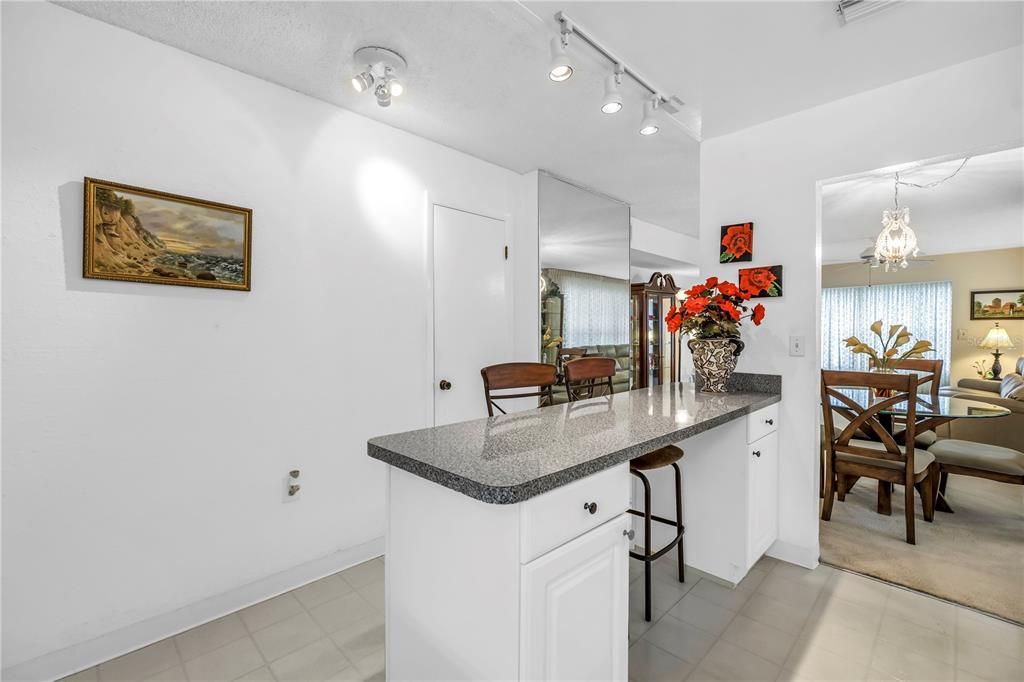 9950 62ND TERRACE N 209, St Petersburg, FL 33708