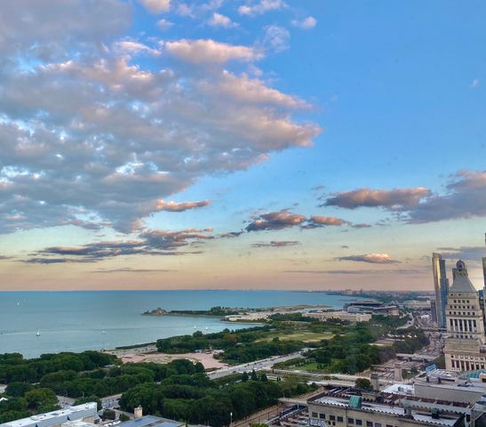 60 E Monroe Street 5601, Chicago, IL 60603