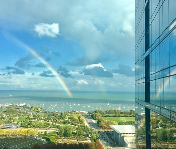 60 E Monroe Street 5601, Chicago, IL 60603