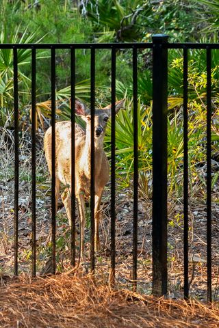 278 Savelle Drive, Santa Rosa Beach, FL 32459