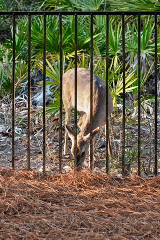 278 Savelle Drive, Santa Rosa Beach, FL 32459