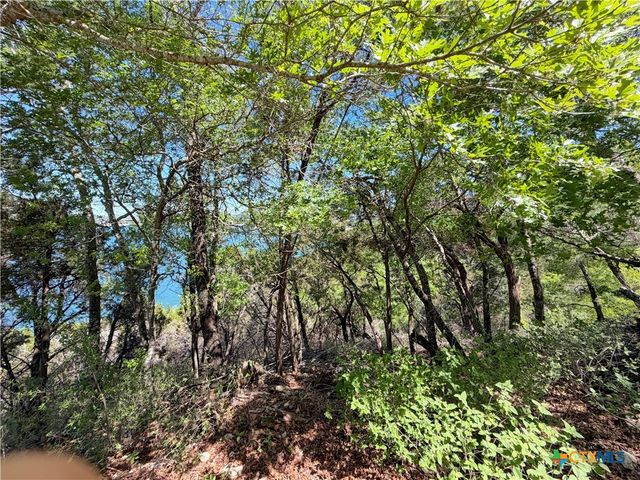 1345 Larson Drive, Canyon Lake, TX 78133
