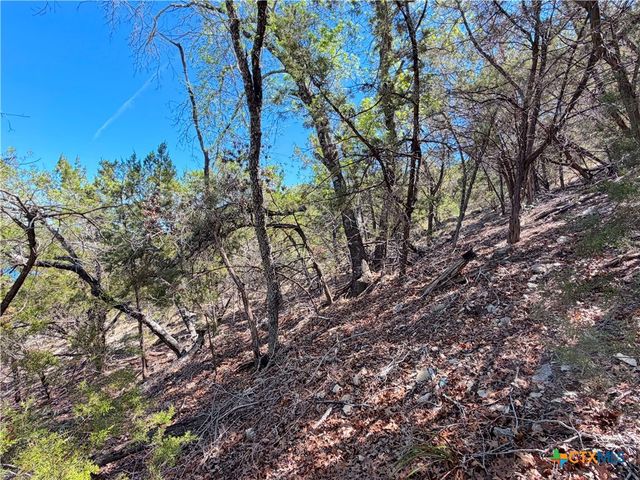 1345 Larson Drive, Canyon Lake, TX 78133