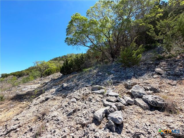 1345 Larson Drive, Canyon Lake, TX 78133