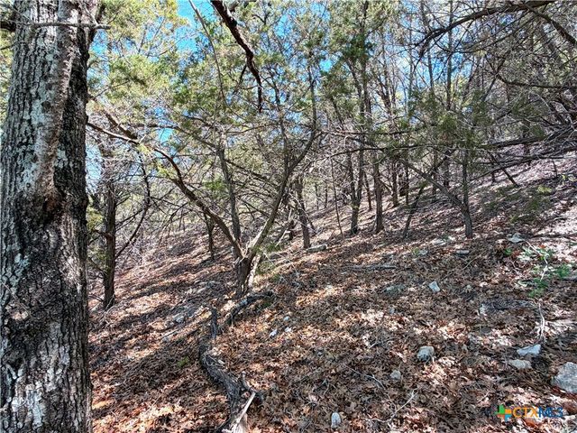 1345 Larson Drive, Canyon Lake, TX 78133
