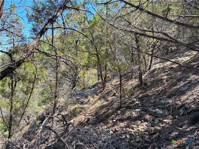 1345 Larson Drive, Canyon Lake, TX 78133