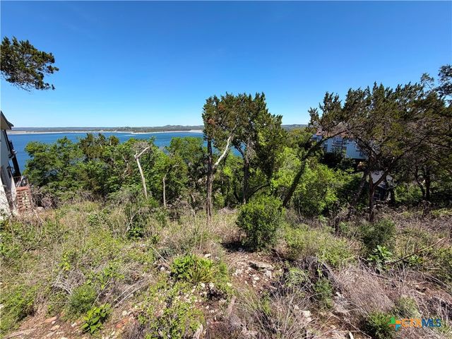 1345 Larson Drive, Canyon Lake, TX 78133