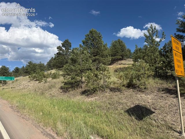 125 & 137 Hillside Drive, Florissant, CO 80816