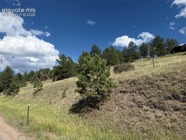 125 & 137 Hillside Drive, Florissant, CO 80816
