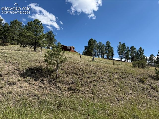 125 & 137 Hillside Drive, Florissant, CO 80816