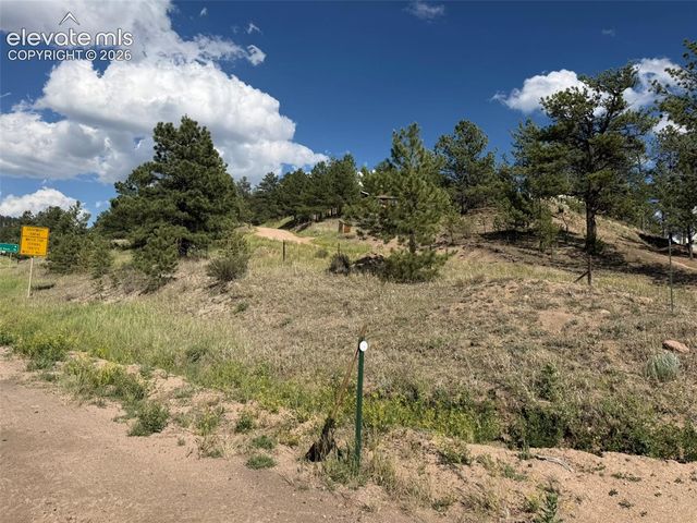 125 & 137 Hillside Drive, Florissant, CO 80816