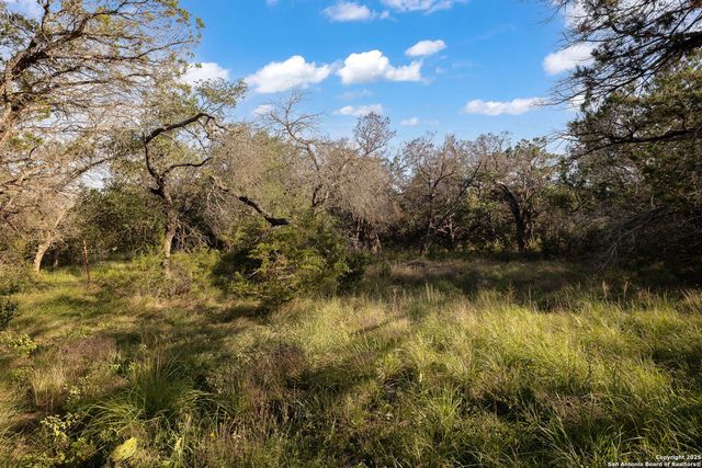 1060 Forest View Dr, Blanco, TX 78606