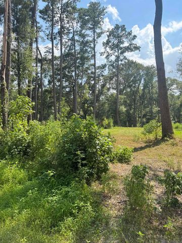 22863 Green Acres Blvd, Denham Springs, LA 70726
