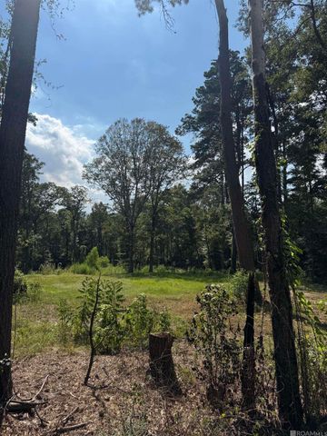 22863 Green Acres Blvd, Denham Springs, LA 70726