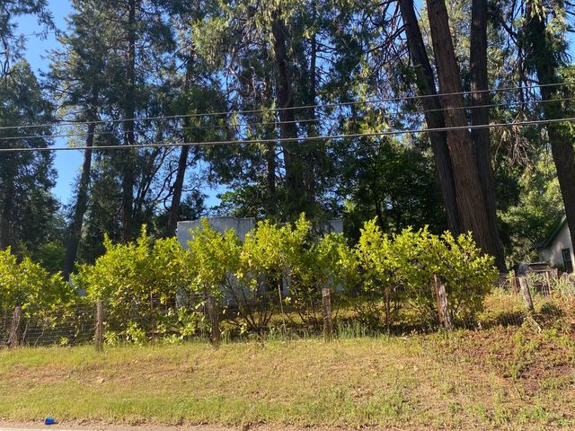 11314 Squirrel Creek Rd, Grass Valley, CA 95945