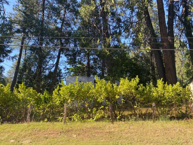 11314 Squirrel Creek Rd, Grass Valley, CA 95945