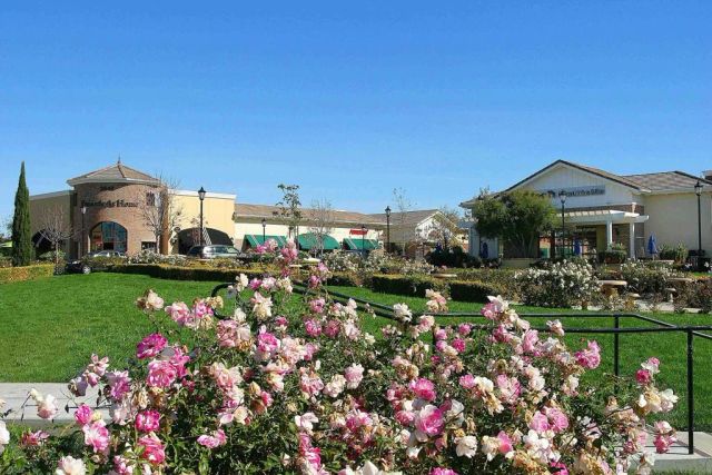 6042 Colt Place 303, Carlsbad, CA 92009