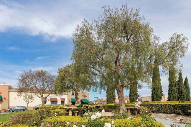6042 Colt Place 303, Carlsbad, CA 92009