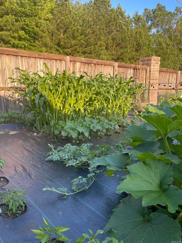 6300 Lena Drive, Alexander, AR 72002