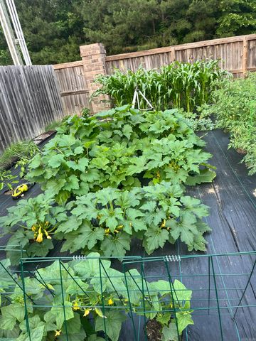 6300 Lena Drive, Alexander, AR 72002