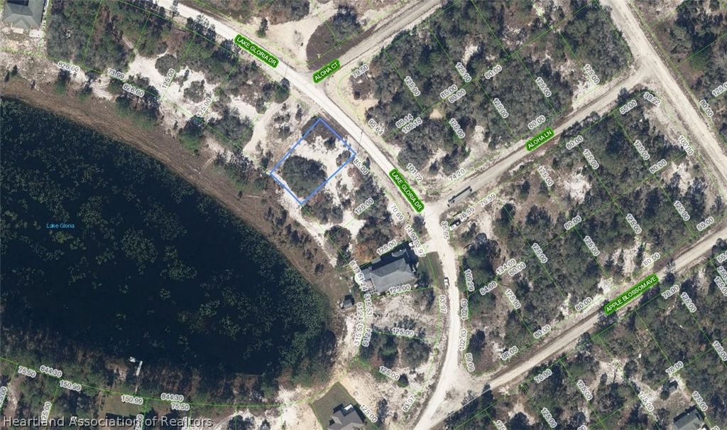 454 Lake Gloria Drive, Lake Placid, FL 33852