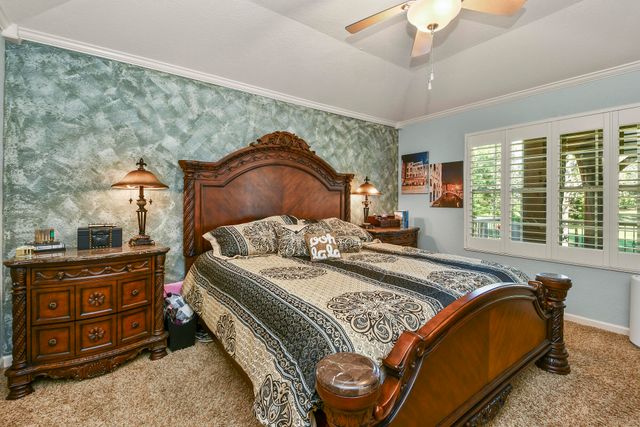 443 Avondale Drive, Branson, MO 65616