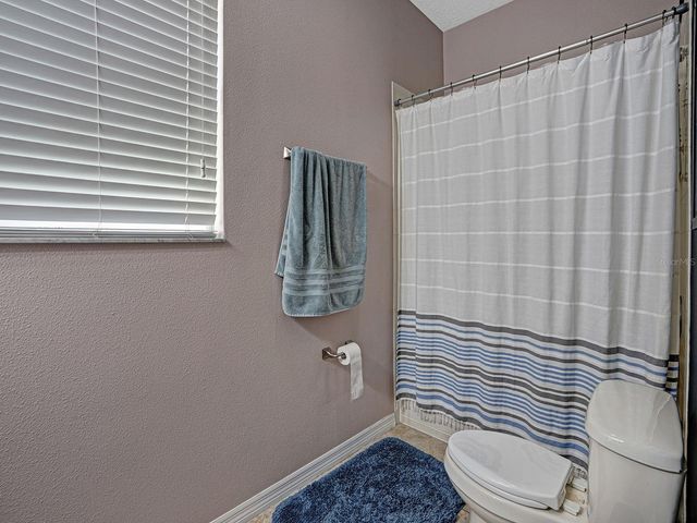 12302 HOLMWOOD GREENS PLACE, Riverview, FL 33579