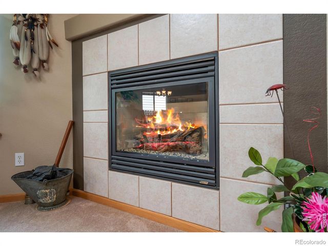 8418 Sonata Lane, Wellington, CO 80549