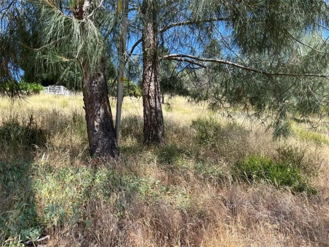 6925 Echo, Kelseyville, CA 95451