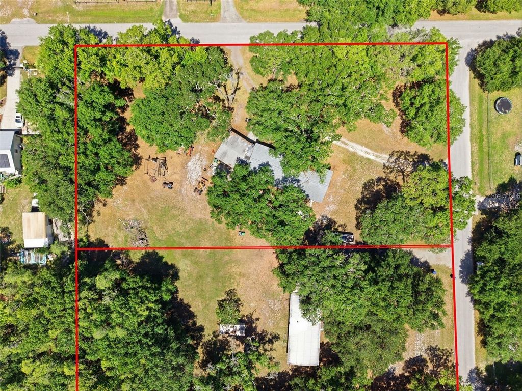1136 WILDWOOD LANE, Lutz, FL 33558