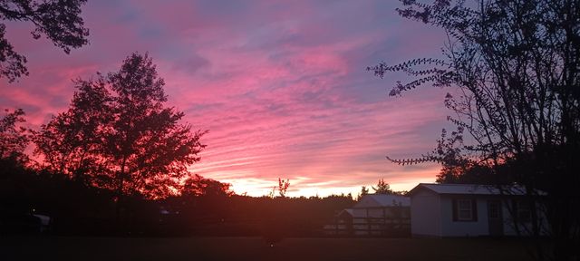 6227 Ladd Rd, Franklin, TN 37067