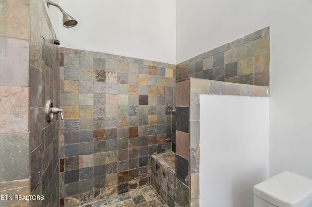 135 White Creek Court, Deer Lodge, TN 37726